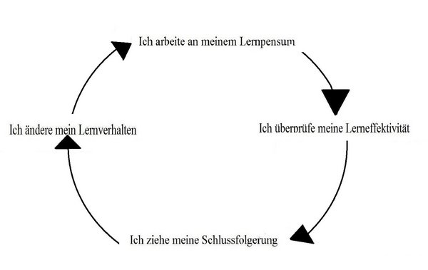 Kolb’scher Lernzyklus, angewendet auf Lernvorgänge