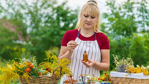 Experte/Expertin für Phytotherapie (Pflanzenheilkunde) (SGD), Gepr.