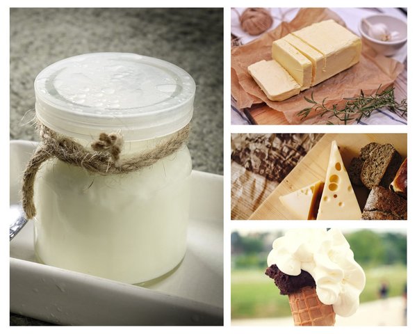 Zusammenstellung verschiedener Milchprodukte: Joghurt, Käse, Butter, Sahne