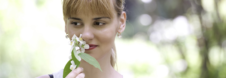 Phytotherapie Kurs  Heilpflanzen kompetent anwenden  SGD