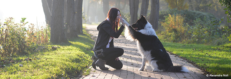 Hundetrainer werden mit Alexandra Noll